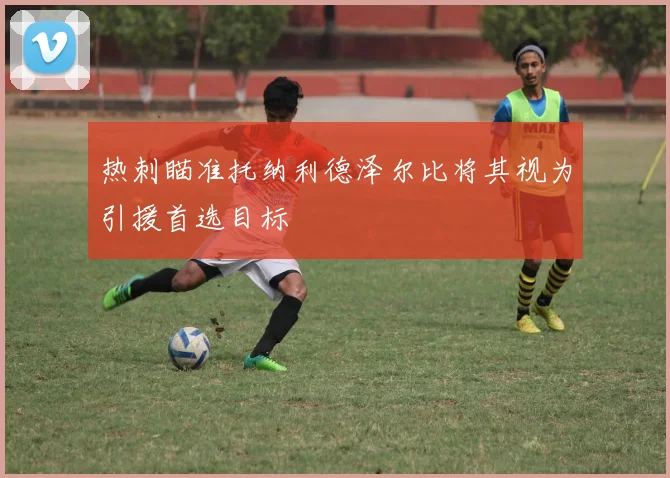 热刺瞄准托纳利德泽尔比将其视为引援首选目标