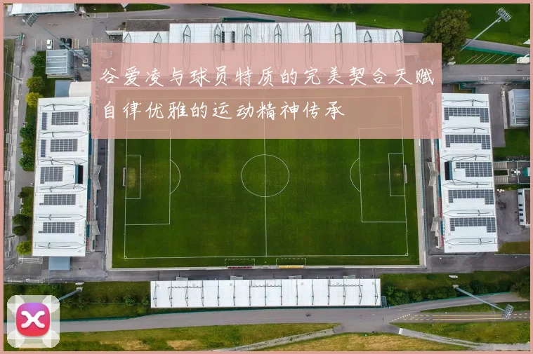 谷爱凌与球员特质的完美契合天赋自律优雅的运动精神传承