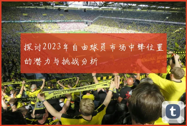 探讨2023年自由球员市场中锋位置的潜力与挑战分析